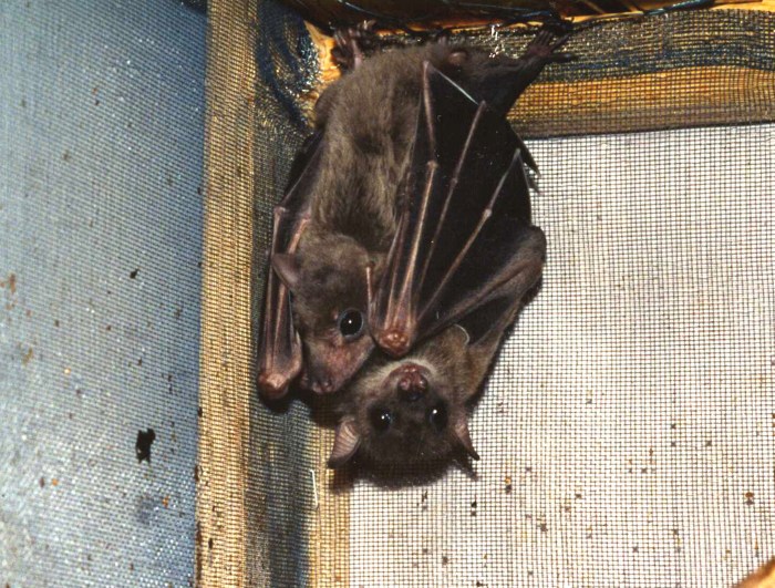 stella-before-before